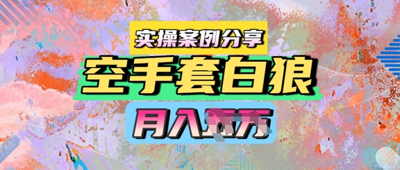 空手套白狼,月入过1W,实操案例分享-冒泡网