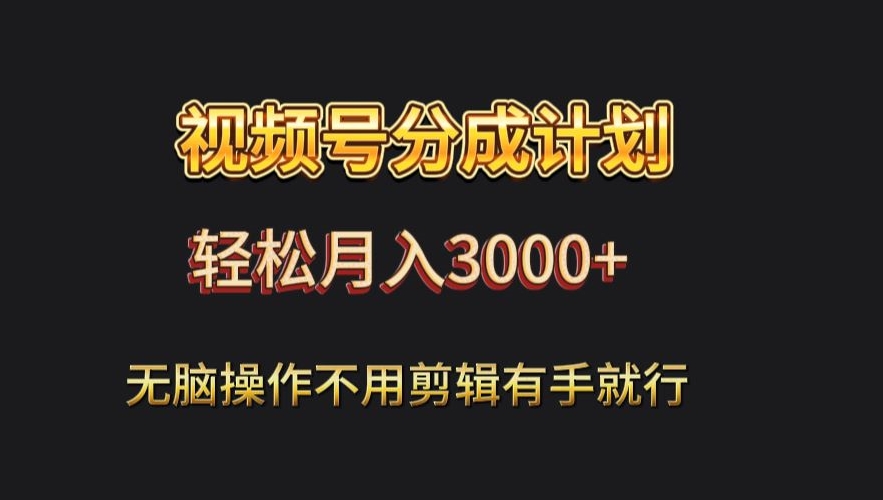 视频号流量分成，不用剪辑，有手就行，轻松月入2000+-冒泡网