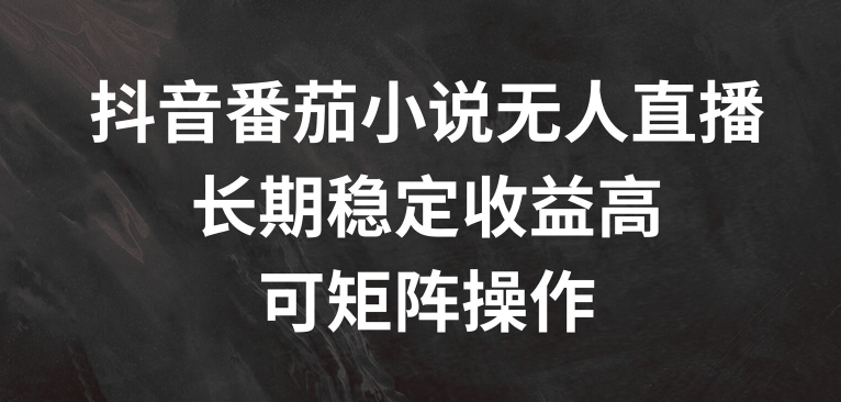 抖音番茄小说无人直播，长期稳定收益高，可矩阵操作【揭秘】-冒泡网