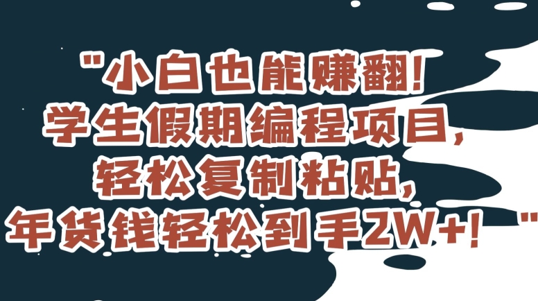 小白也能赚翻！学生假期编程项目，轻松复制粘贴，年货钱轻松到手2W+【揭秘】-冒泡网