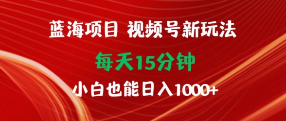 蓝海项目，视频号新玩法，每天15分钟，小白也能日入1000+-冒泡网