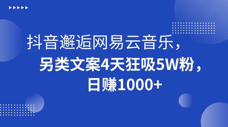抖音邂逅网易云音乐，另类文案4天狂吸5W粉，日赚1000+【揭秘】-冒泡网