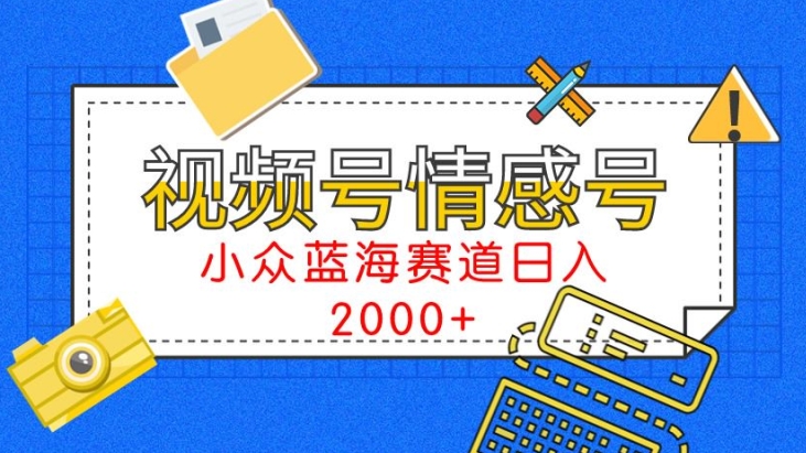 视频号情感号小众蓝海赛道,每天一小时,日入3000+-冒泡网