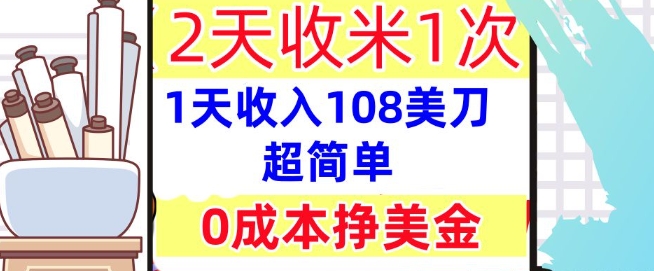 0成本挣美金,超简单,1天收入108刀,2天收米一次,实战教程,首次公开-冒泡网