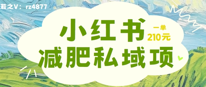 小红书减肥粉，私域变现项目，一单就达210元，小白也能轻松上手【揭秘】-冒泡网