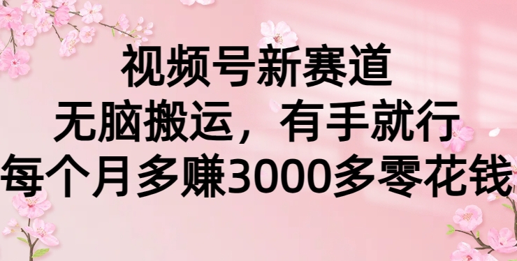 视频号新赛道,无脑搬运,有手就行,每个月多赚3000多零花钱-冒泡网