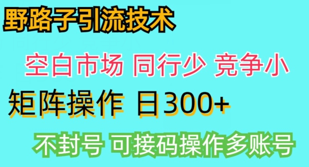 拼多多野路子引流创业粉实战教学,手动操作,用户转化率高-冒泡网