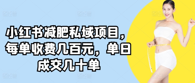 小红书减肥私域项目，每单收费几百元，单日成交几十单-冒泡网