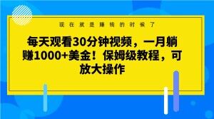 每天观看30分钟视频，一月躺赚1000+美金！保姆级教程，可放大操作【揭秘】-冒泡网