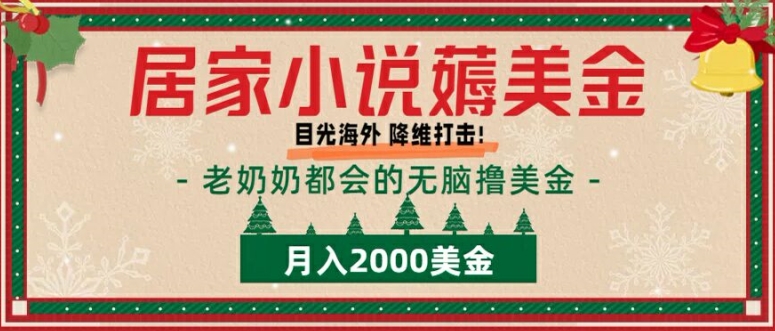 居家小说薅美金,拆解海外撸美金项目月入2000美刀详细指导-冒泡网