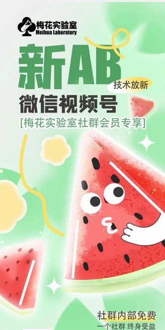 梅花实验室年AB技术视频号AB合成破解版-冒泡网