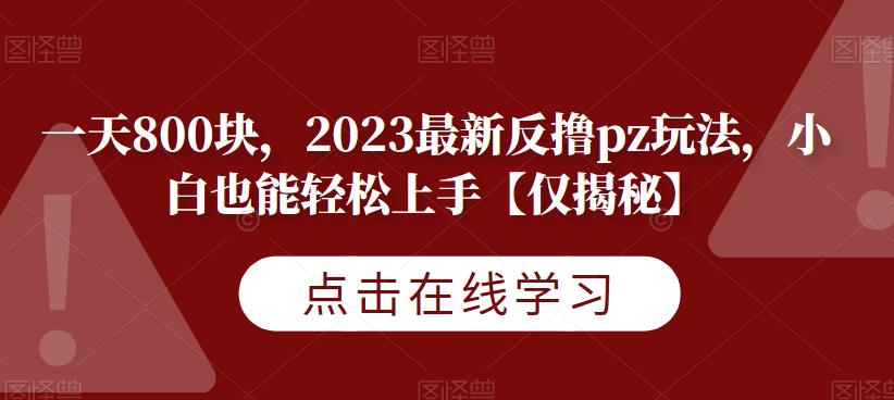 一天800块，2023最新反撸pz玩法，小白也能轻松上手【仅揭秘】-冒泡网