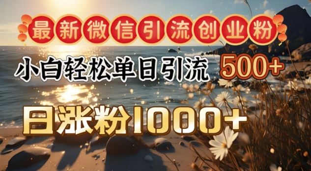 最新微信引流创业粉，小白单日轻松引流500+，日涨粉1000+-冒泡网