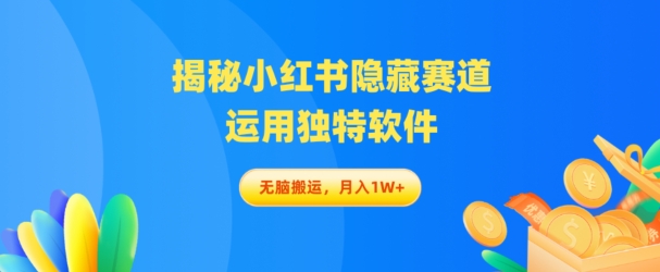 揭秘小红书隐藏赛道，运用独特软件轻松无脑搬运-冒泡网