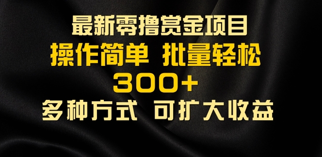 最新零撸赏金项目，无需养机，直接上手操作 ，单机收益30+，适合批量放大-冒泡网
