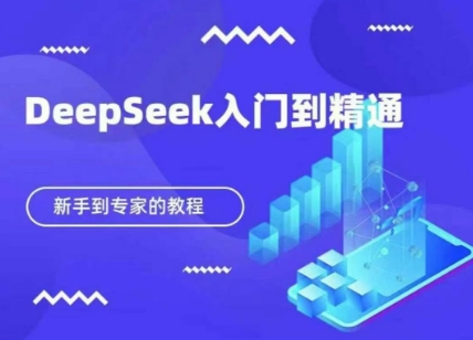 DeepSeek快速从入门到精通，新手的保姆级教程-冒泡网