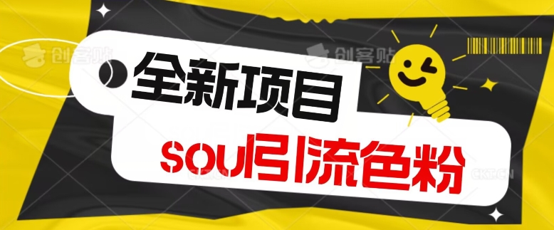 全新风口项目,soul精准引流私域变现,单身经济,无限放大,单日引流1000加轻轻松松-冒泡网
