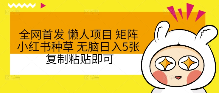 全网首发 懒人项目 矩阵小红书种草 无脑日入5张 复制粘贴即可-冒泡网