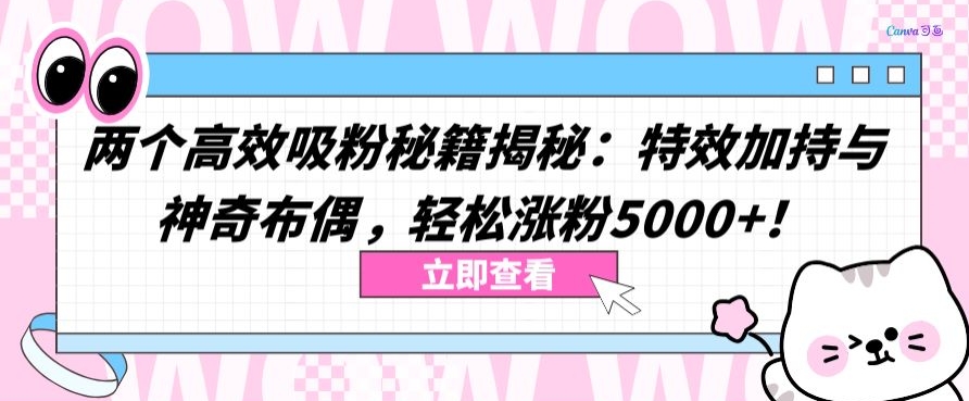 两个高效吸粉秘籍揭秘：特效加持与神奇布偶，轻松涨粉5000+【揭秘】-冒泡网