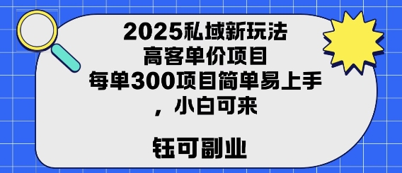 2025私域新玩法高客单价，每单3张操作简单，小白可轻松上手-冒泡网