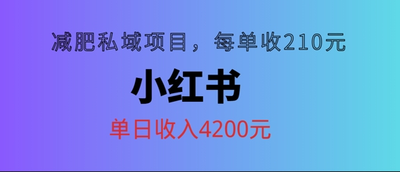 小红书减肥私域项目，每单210元，单日可卖出15单，利润3150-冒泡网