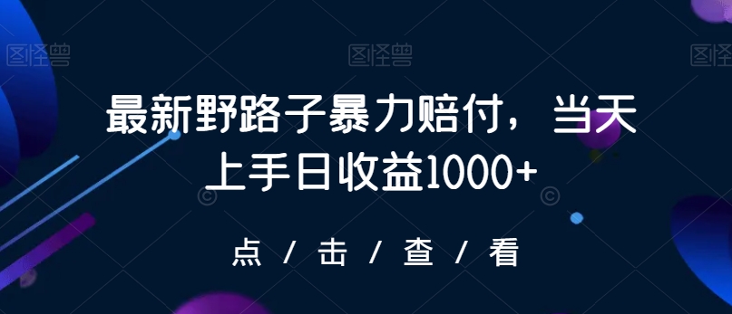最新野路子暴力赔付,当天上手日收益1000+【仅揭秘】-冒泡网
