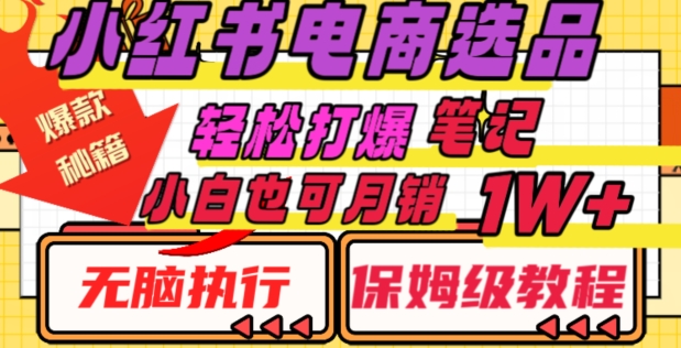 小红书电商爆款选品秘籍,帮你轻松打爆笔记,小白也可轻松月销10000+-冒泡网