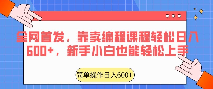 全网首发,靠卖编程课程轻松日入600+,新手小白也能轻松上手-冒泡网