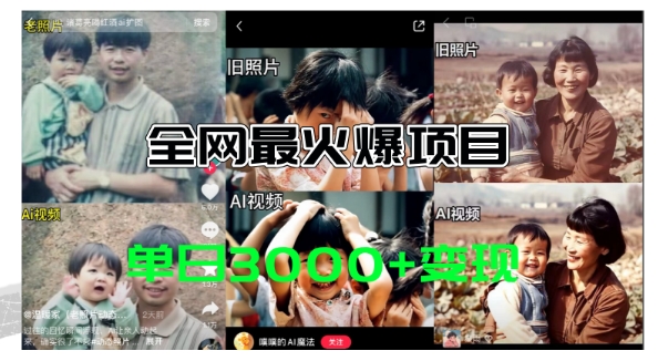 全网爆火的AI让老照片动起来教程，蹭热点日赚3k+，内含免费工具一键可生成【揭秘】-冒泡网