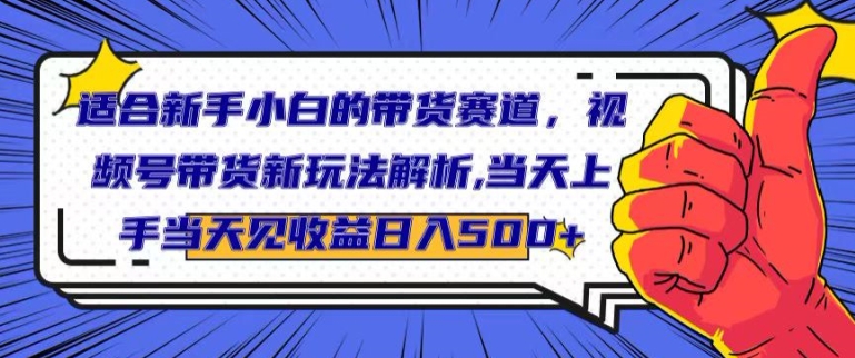适合新手小白的带货赛道,视频号带货新玩法解析,当天上手当天见收益,日入500+-冒泡网