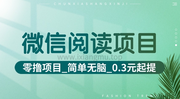 微信阅读项目_零撸项目+简单无脑+0.3元起提(六大平台合集汇总)-冒泡网