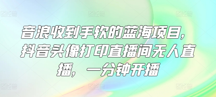 音浪收到手软的蓝海项目,抖音头像打印直播间无人直播,一分钟开播-冒泡网