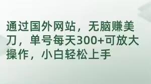 通过国外网站,无脑赚美刀,单号每天300+可放大操作,小白轻松上手【揭秘】-冒泡网