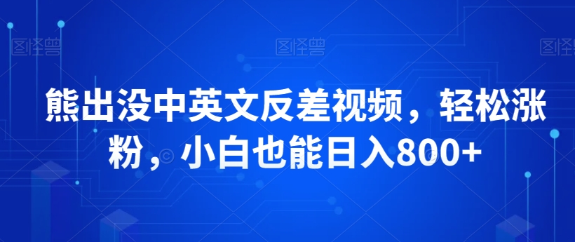 熊出没中英文反差视频，轻松涨粉，小白也能日入800+-冒泡网