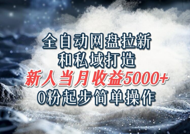 全自动网盘拉新和私域打造，0粉起步简单操作，新人入门当月收益5000以上-冒泡网
