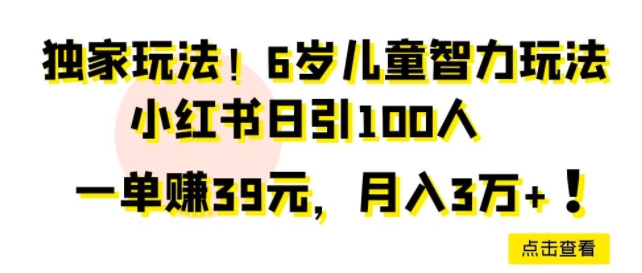 独家玩法,6岁儿童智力玩法,小红书日引100人-冒泡网