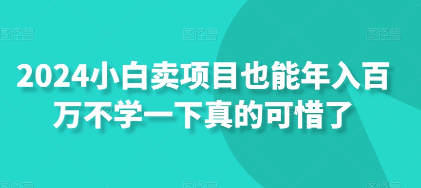 小白卖项目也能年入百万不学一下真的可惜了-冒泡网