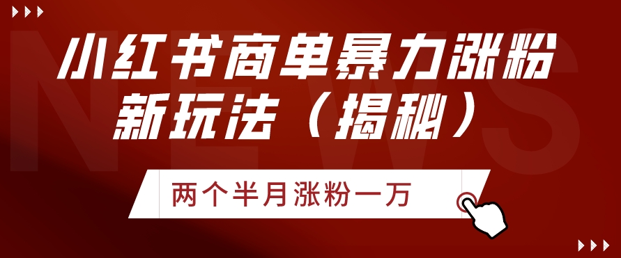 小红书商单暴力涨粉新玩法两个半月涨粉一万(揭秘)-冒泡网