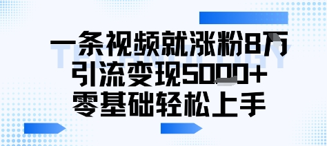 一条视频就涨粉8W引流变现5k+,0基础项目轻松上手-冒泡网