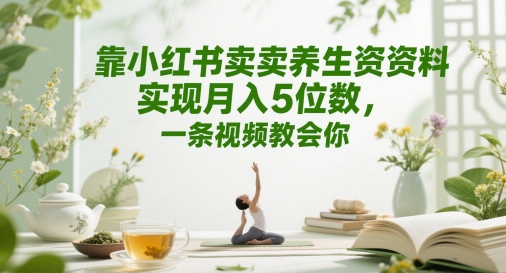靠小红书卖养生资料实现月入5位数，一条视频教会你-冒泡网