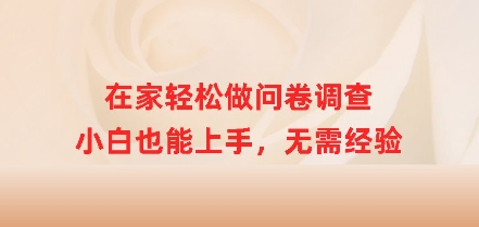 在家轻松做问卷调查，小白也能上手，无需经验-冒泡网
