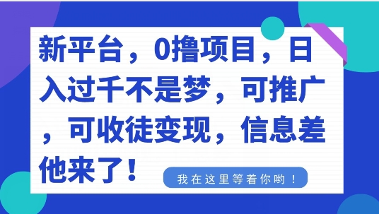不要再花冤枉钱了,0撸项目,每天坚持,稳定1000+-冒泡网