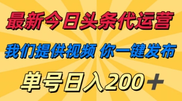 最新今日头条代运营，我们提供视频，你一键发布，单号日入200+【揭秘】-冒泡网
