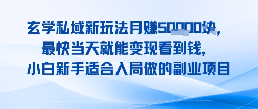 玄学私域新玩法月入1W+，最快当天就能变现看到米，小白新手适合入局做的副业项目-冒泡网