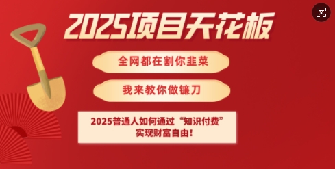 2025项目天花板普通人如何通过知识付费，实现财F自由【揭秘】-冒泡网