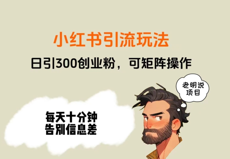 靠小红书视频日印300粉，两分钟一个视频轻松矩阵-冒泡网