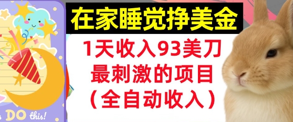在家挣美金,1天收入93刀,最刺激的项目,0门槛,自动收入(首次公开)-冒泡网