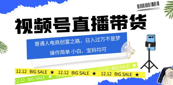 视频号读稿带货，普通人电商创富之路，小白、宝妈均可-冒泡网