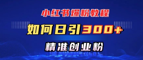 小红书爆粉教程，如何日引300+创业粉，快速实现精准变现-冒泡网