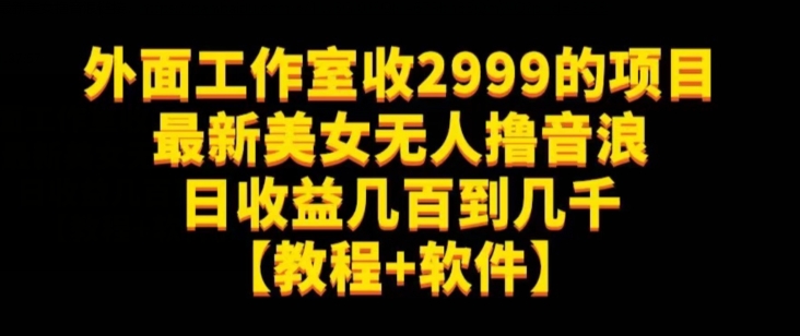 外面工作室收2999的项目最新美女无人撸音浪日收益几百到几千【教程+软件】（仅揭秘）-冒泡网